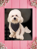 Black PAWka Dots-Baby bandana and Mama Scrunchie