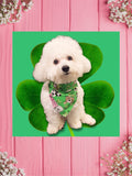 St Pats Pups-Baby bandana and Mama Scrunchie