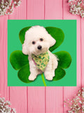 St Pats Pawprints-Baby bandana and Mama Scrunchie