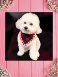 Red Plaid & Little dogs-Baby bandana and Mama bow headaband