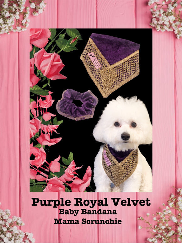 Purple Royal Velvet-Baby bandana and Mama Scruchie