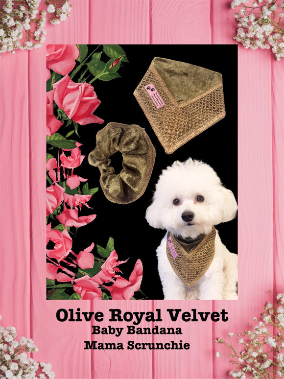 Olive Royal Velvet-Baby bandana and Mama Scrunchie