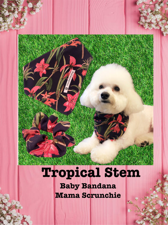 Tropical Stem-Baby bandana and Mama Scrunchie