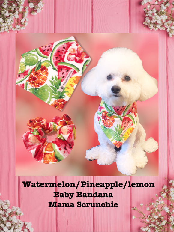 Watermelon/Pineapple/Lemon-Baby bandana and Mama Scrunchie