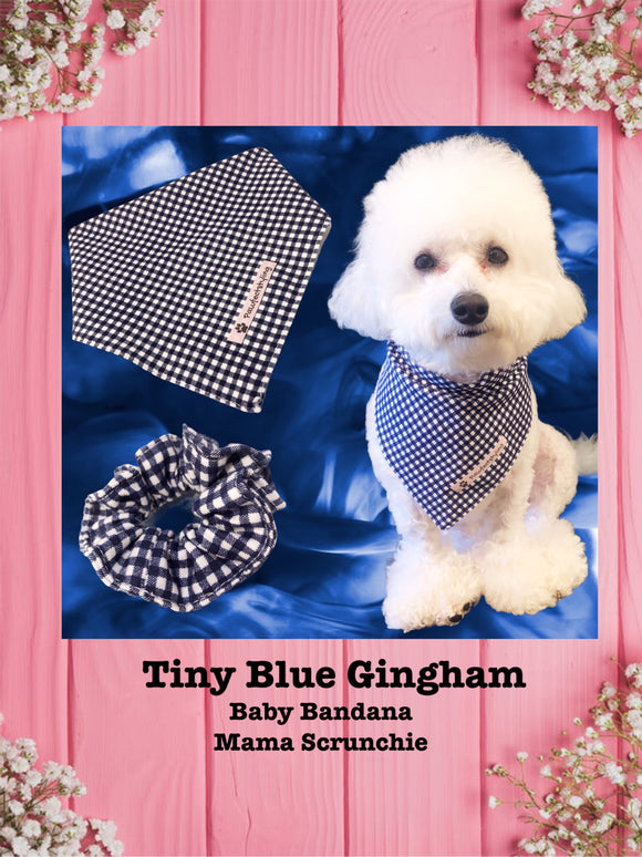 Tiny Blue Gingham-Baby bandana and Mama Scrunchie