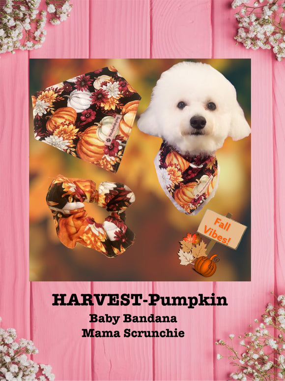 HARVEST-Pumpkin --Baby bandana and Mama Scrunchie