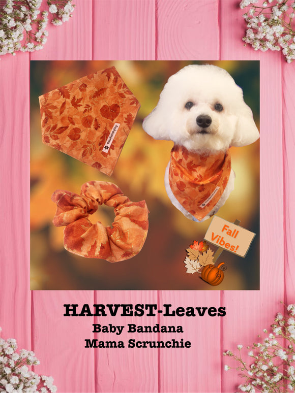 HARVEST-leaves--Baby bandana and Mama Scrunchie